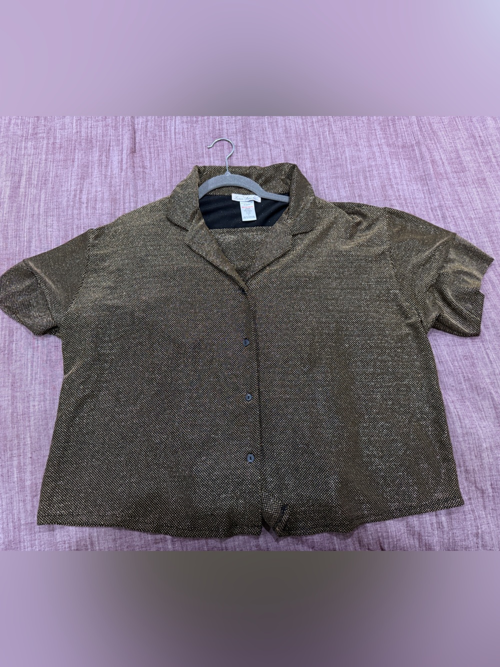 Linea Donatella Metallic Bronze Button-Down Short Sleeve Top and bottoms XL